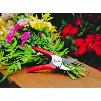 #5070 Dvojnožové záhradné nožnice WOLF GARTEN RR-EN | Ručné náradie | Záhradné nožnice